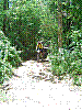VTT 030.jpg